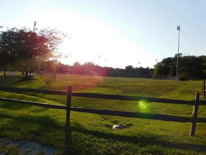 Dog Park White Plains 4