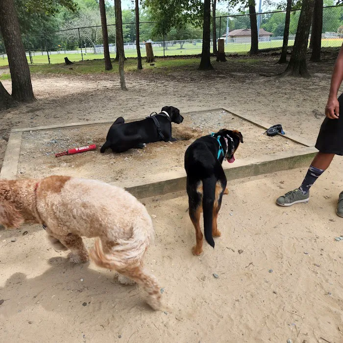 Dog Park White Plains 9