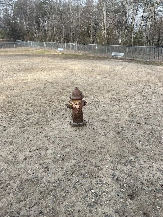 Dog Park White Plains 8