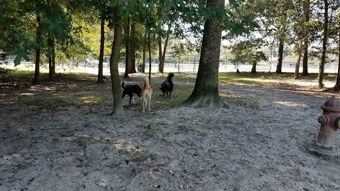 Dog Park White Plains 10