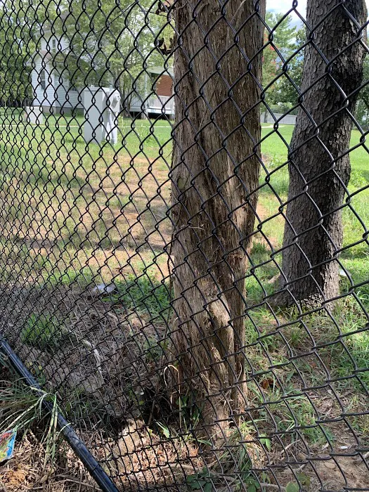 Southern Area Dog Park at Riverview Park 7