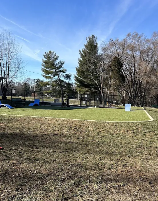 Southern Area Dog Park at Riverview Park 8