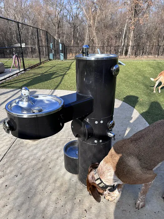 Southern Area Dog Park at Riverview Park 9