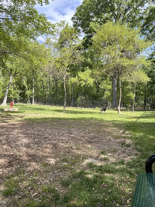 Southern Area Dog Park at Riverview Park 10