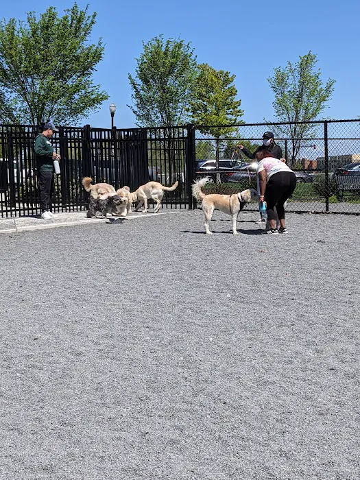 Monroe Ave Dog Park 1