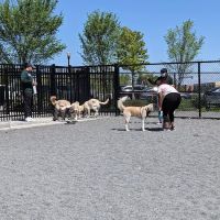 Monroe Ave Dog Park ico