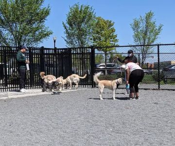 Monroe Ave Dog Park