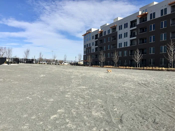 Monroe Ave Dog Park 3