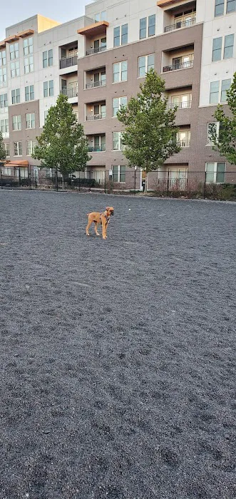 Monroe Ave Dog Park 4