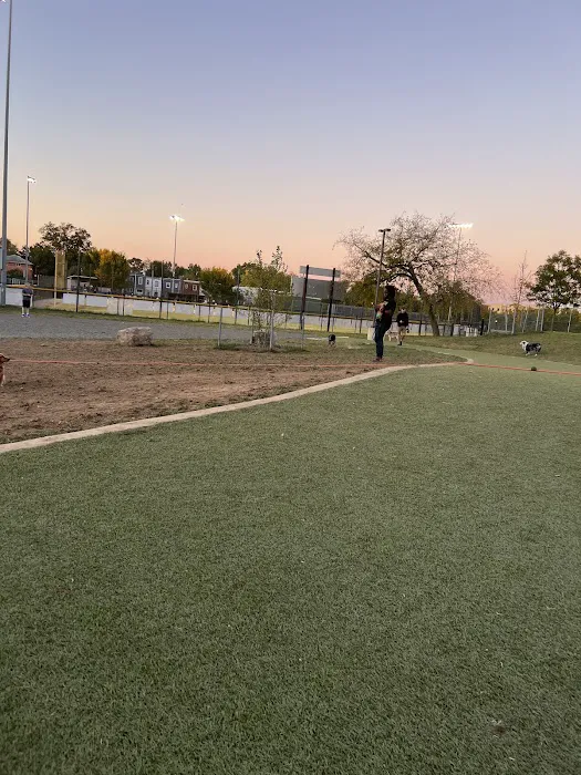 Eugene Simpson Stadium Park Dog Park 1