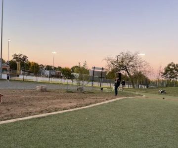 Eugene Simpson Stadium Park Dog Park