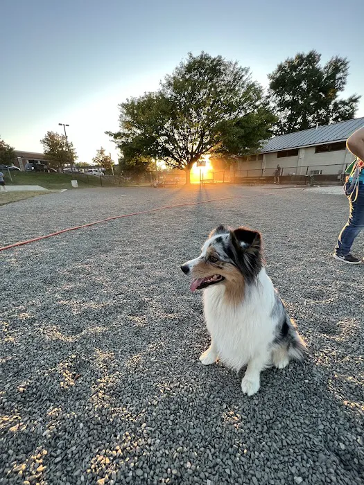 Eugene Simpson Stadium Park Dog Park 7
