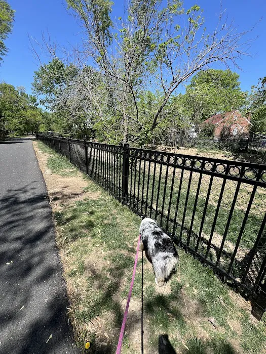 Mount Jefferson Dog Park 4