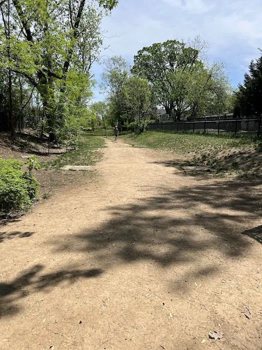 Mount Jefferson Dog Park 5