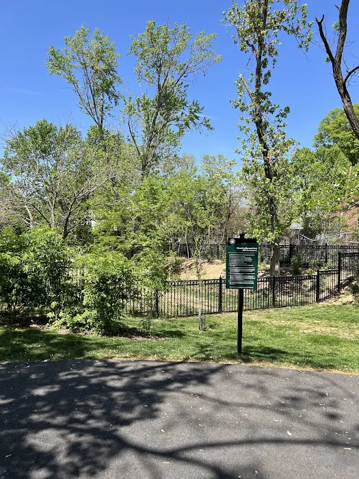 Mount Jefferson Dog Park 6