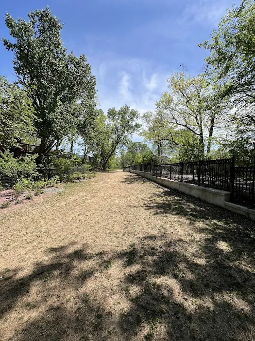 Mount Jefferson Dog Park 7