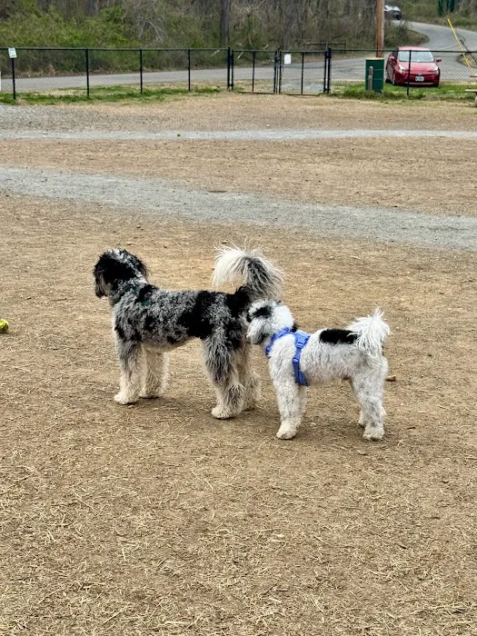 Westgrove Dog Park 2