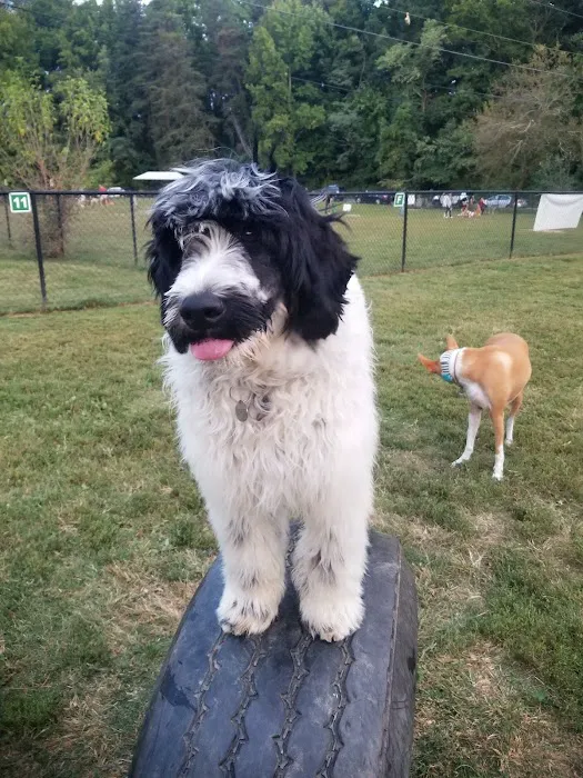 Westgrove Dog Park 7