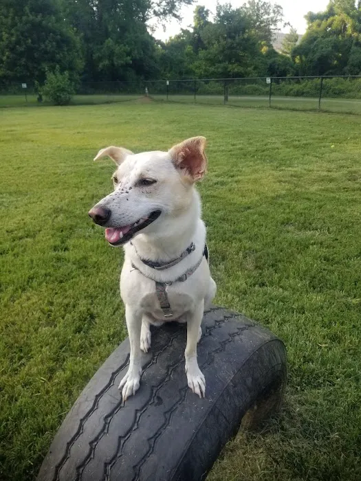 Westgrove Dog Park 10