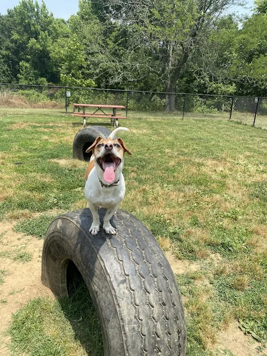 Westgrove Dog Park 3