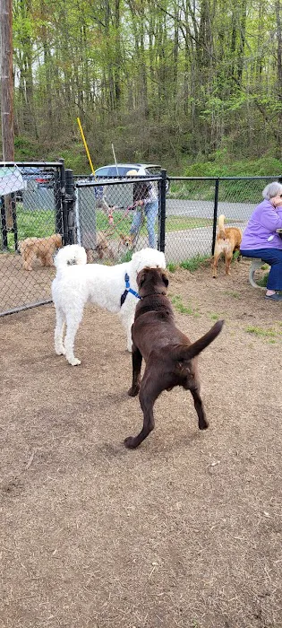 Westgrove Dog Park 9