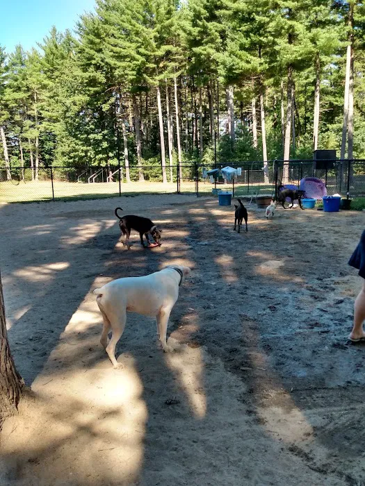 Longhill Dog Park 7