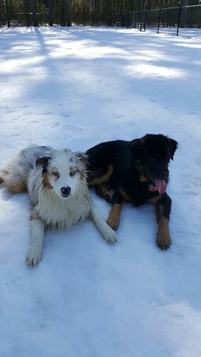 Longhill Dog Park 4