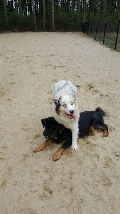 Longhill Dog Park 6