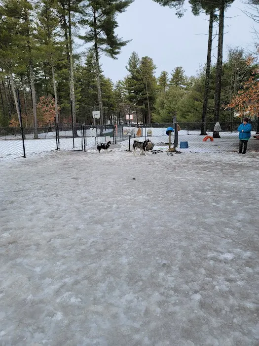 Longhill Dog Park 1