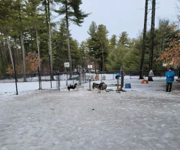 Longhill Dog Park