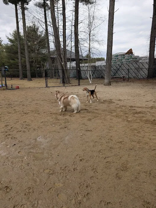 Longhill Dog Park 5