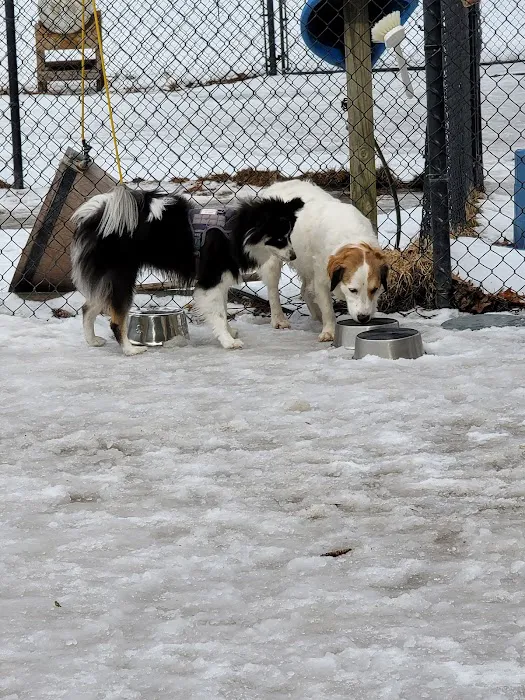 Longhill Dog Park 2
