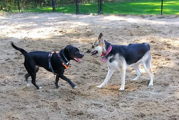 Longhill Dog Park 9