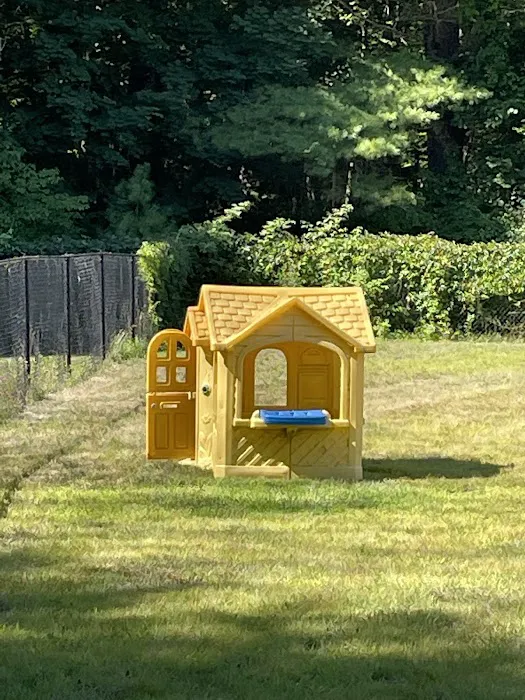 Barks & Rec Dog Park 5