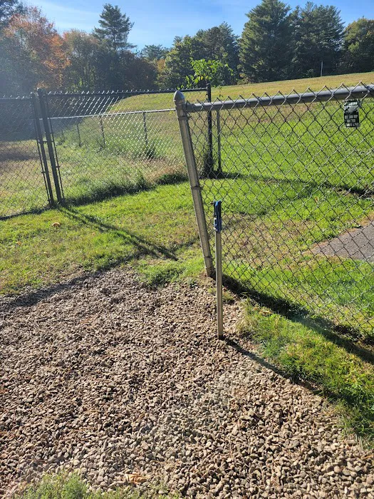 Barks & Rec Dog Park 4