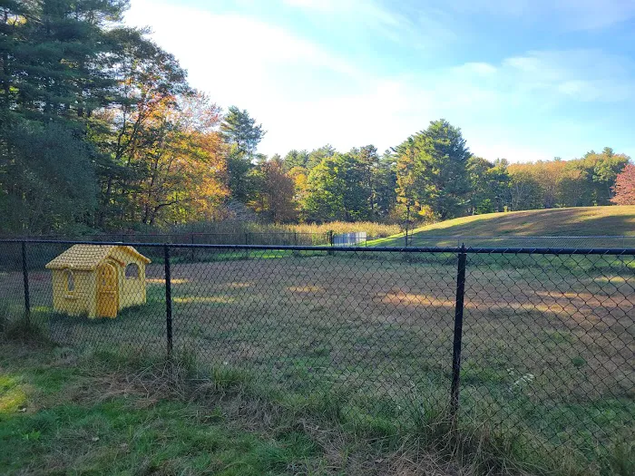 Barks & Rec Dog Park 9