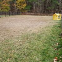 Barks & Rec Dog Park ico