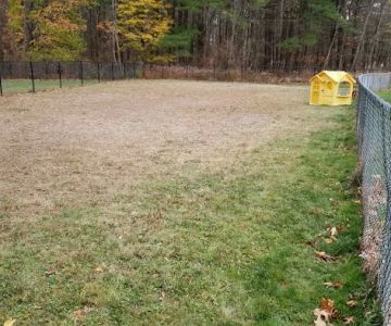 Barks & Rec Dog Park