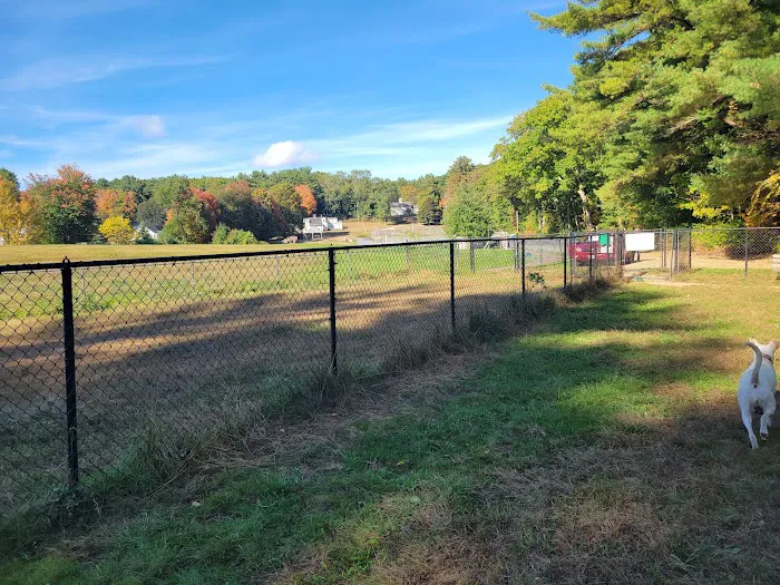 Barks & Rec Dog Park 7