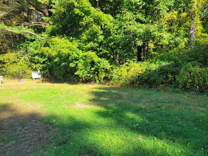 Barks & Rec Dog Park 8