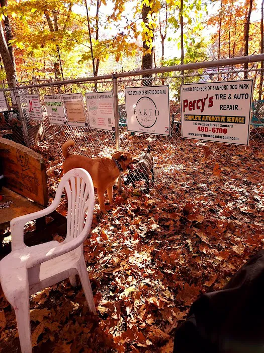 Sanford Dog Park 9
