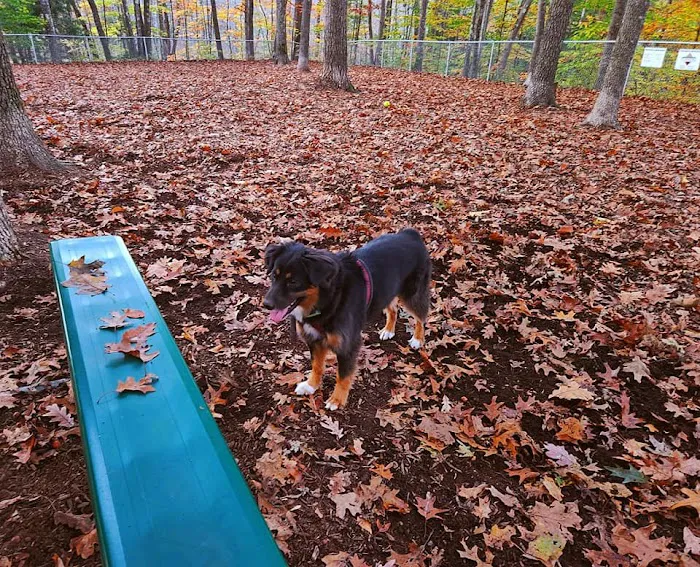 Sanford Dog Park 2