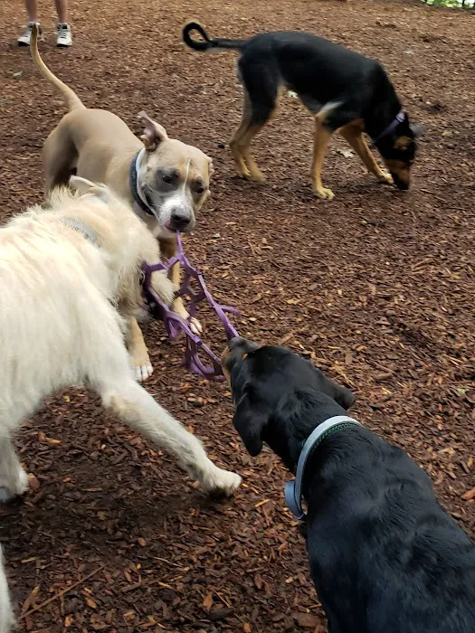 Sanford Dog Park 1