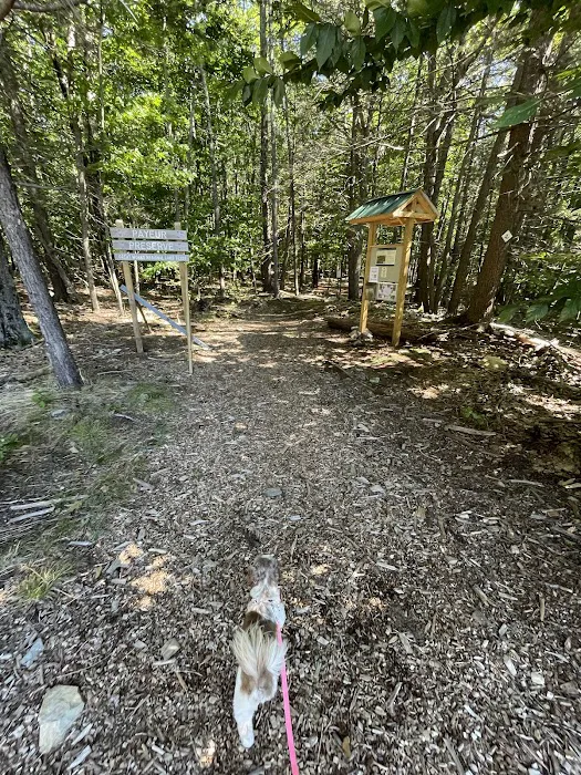 Ogunquit Dog Park 7
