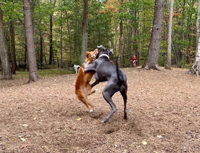 Ogunquit Dog Park 6