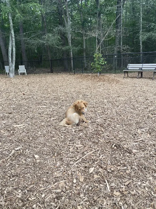 Ogunquit Dog Park 4
