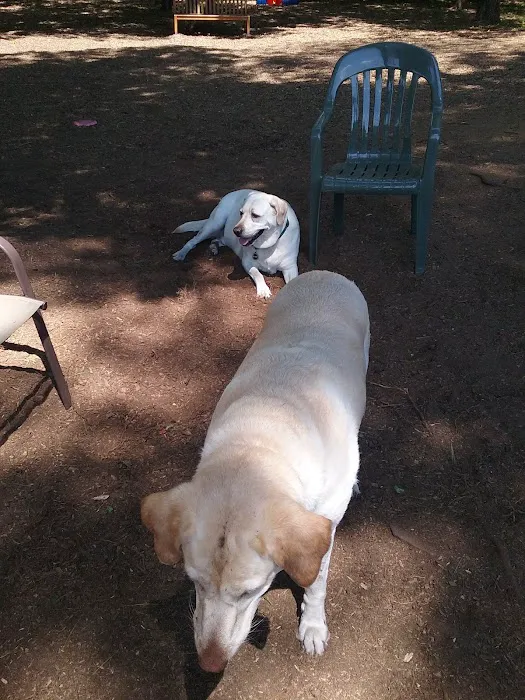 Ogunquit Dog Park 8