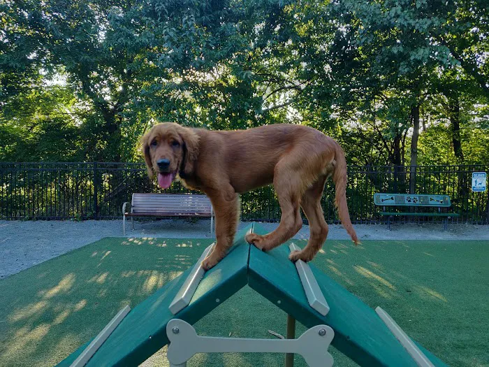 Avalon at Arlington Square Dog Park 1