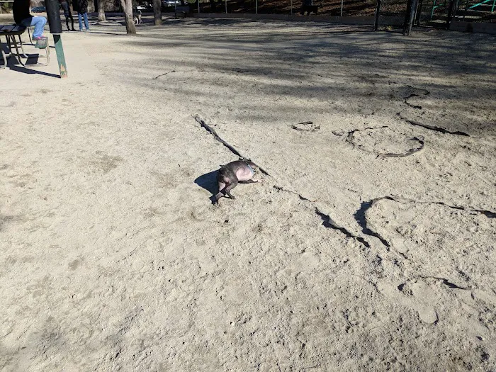 Utah Dog Park 8