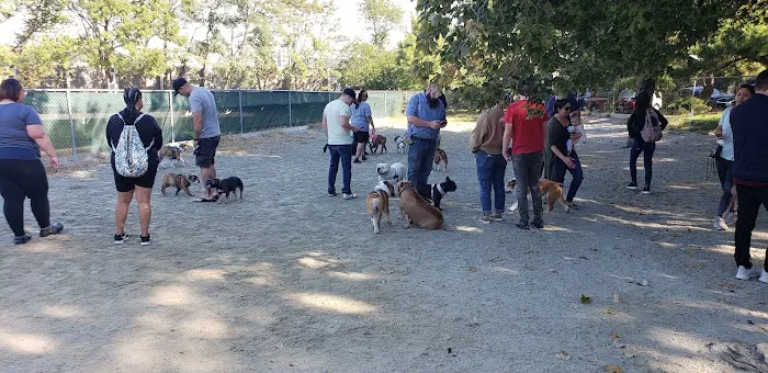 Utah Dog Park 3